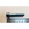 Болт М12*1,25*55
